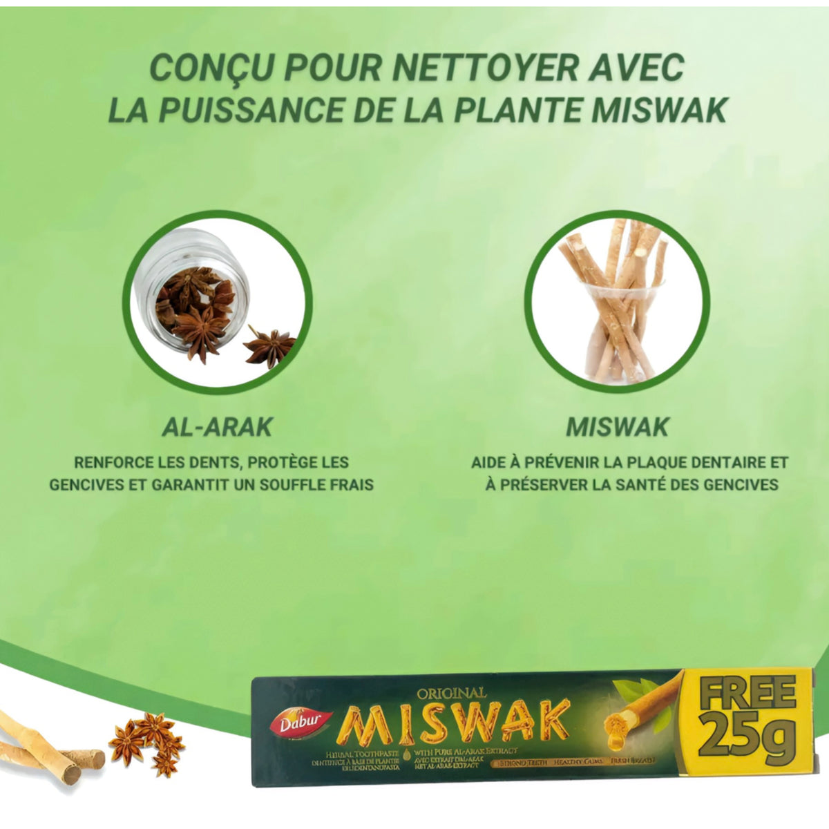 Dentifrice Dabur MISWAK 25g –