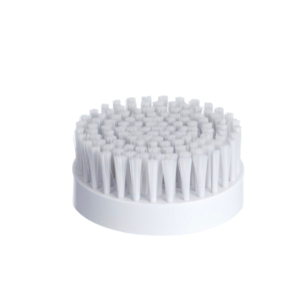 Tête de brosse