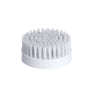 Tête de brosse