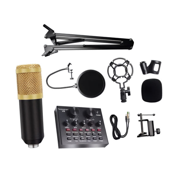 Microphone de Studio professionnel pour enregistrement, ordinateur, Podcast et Lv Tik Tok