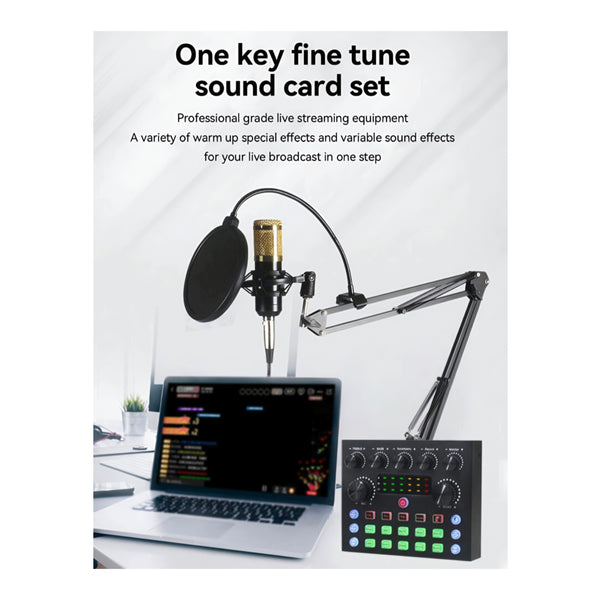 Microphone de Studio professionnel pour enregistrement, ordinateur, Podcast et Lv Tik Tok
